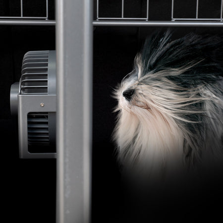 Houd uw hond koel met onze nieuwe hondenventilator!