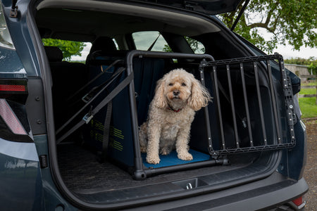 Introductie van de Travall hondenbench – crashbescherming voor uw hond