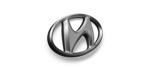 Hyundai IONIQ 5 Hondenrekken