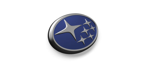 Subaru Solterra Hondenrekken
