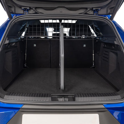 Renault Symbioz Scheidingsrek (vanaf 2024)