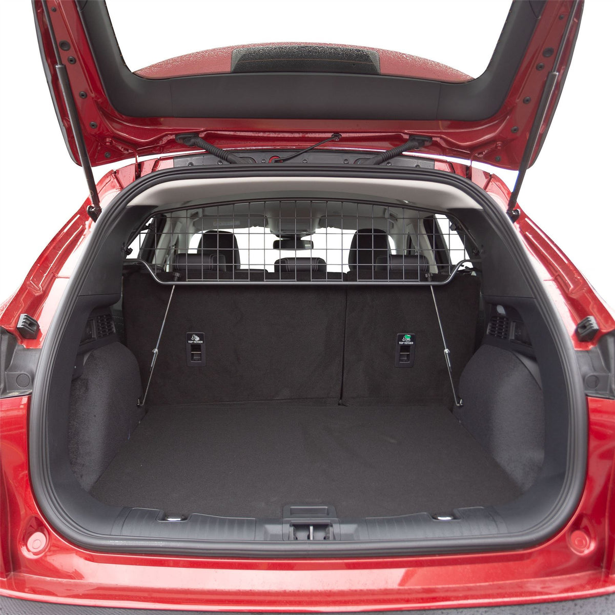 Ford Escape Hondenrek (2019-heden)