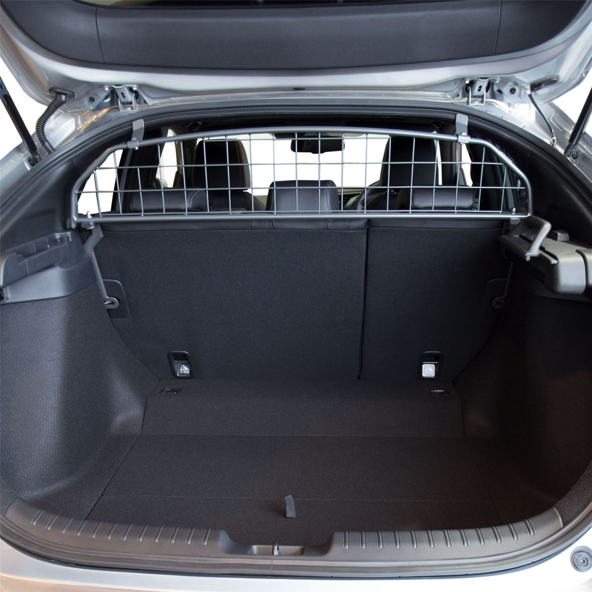 Honda Civic 5-deurs hatchback hondenrek (2017-2021)
