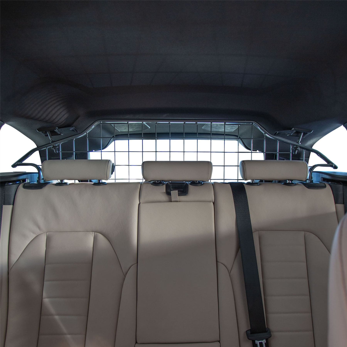 BMW 3 Series Dog Guard (2019-2023)
