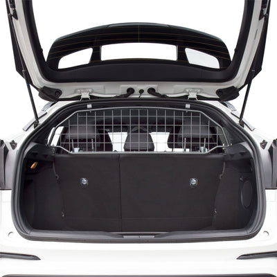 Toyota C-HR Hondenrek (2016-2019)