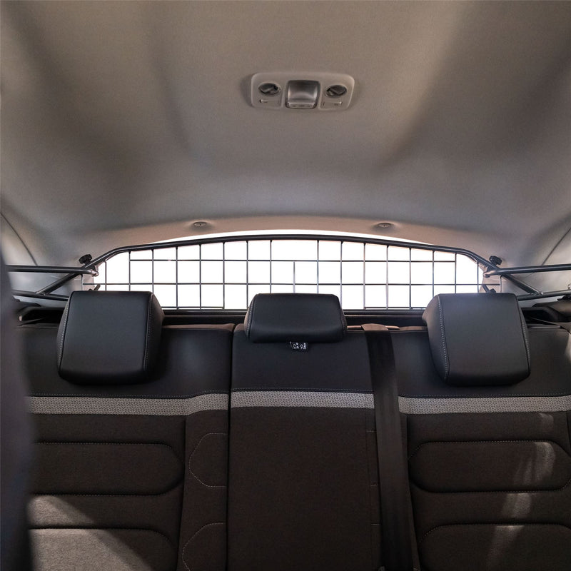 Citroën C4 Hondenrek (2020-heden)