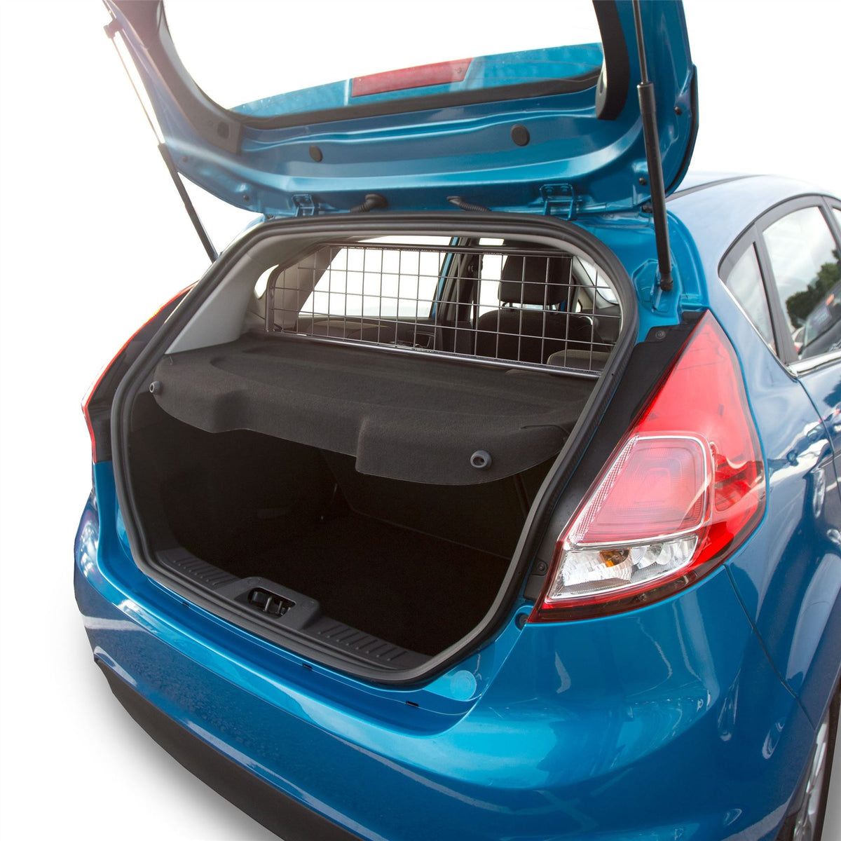 Ford Fiesta Hondenrek (2008-2017)