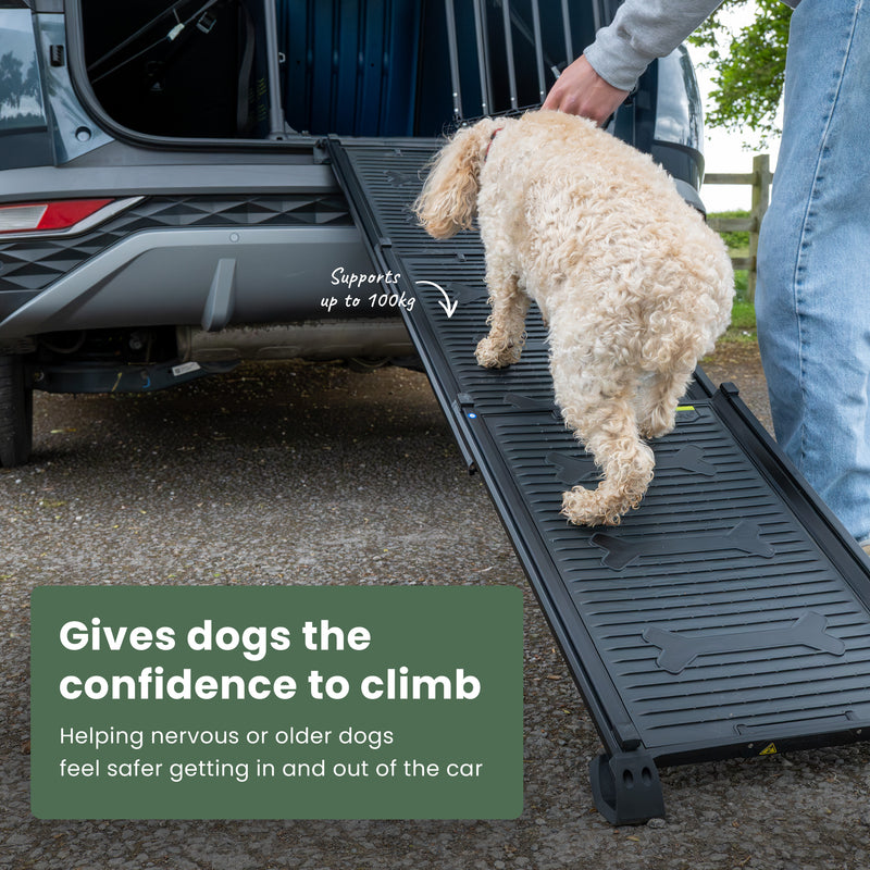 Dog Ramp