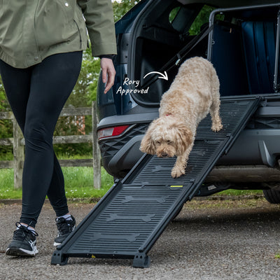 Dog Ramp