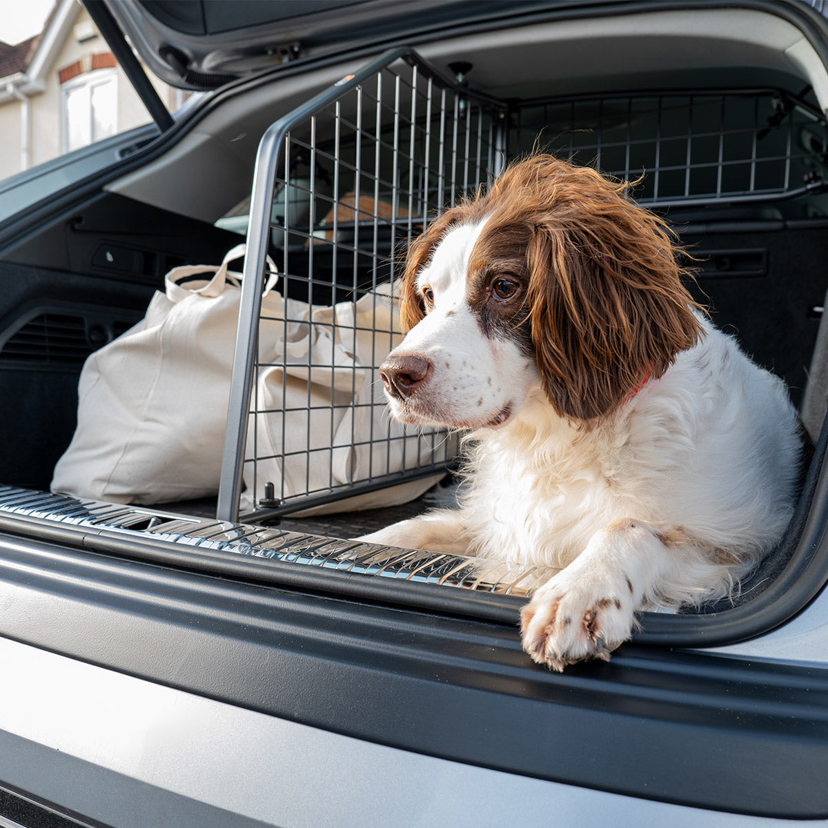 Kofferbak Hond Mat Voor MG HS 2018-2022, Antislip Antifouling Waterdichte Huisdier Auto Kofferbak Liner Met Zijbumper Bescherming Accessoires,C Kofferbak Hond Mat Voor MG HS 2018-2022, Antislip Antifouling Waterdichte Huisdier Auto Kofferbak Liner Met Zijbumper Bescherming Accessoires,C