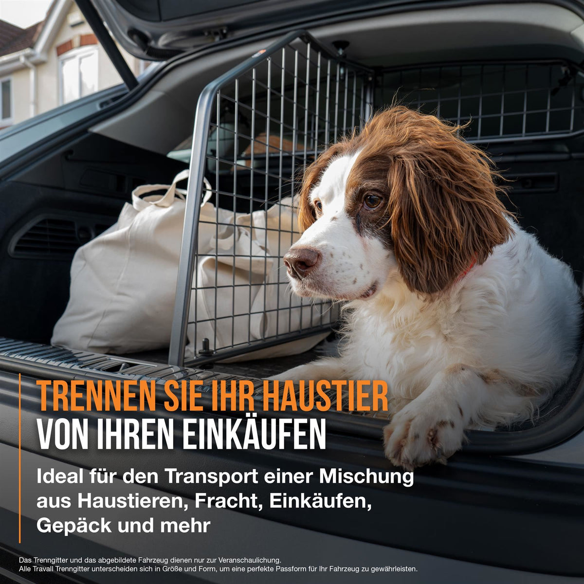 VW T-Cross Hondenrek en Scheidingsrek Bundel (vanaf 2024)