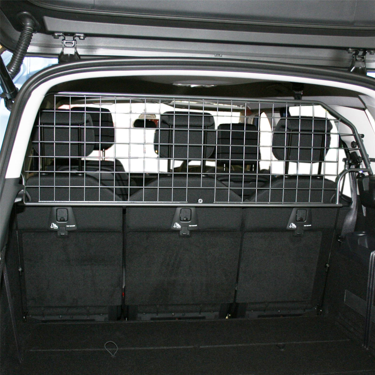 Citroen Grand C4 Spacetourer Dog Guard (2018-2022)