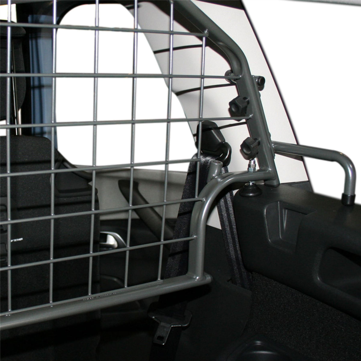 Citroen Grand C4 Spacetourer Dog Guard (2018-2022)